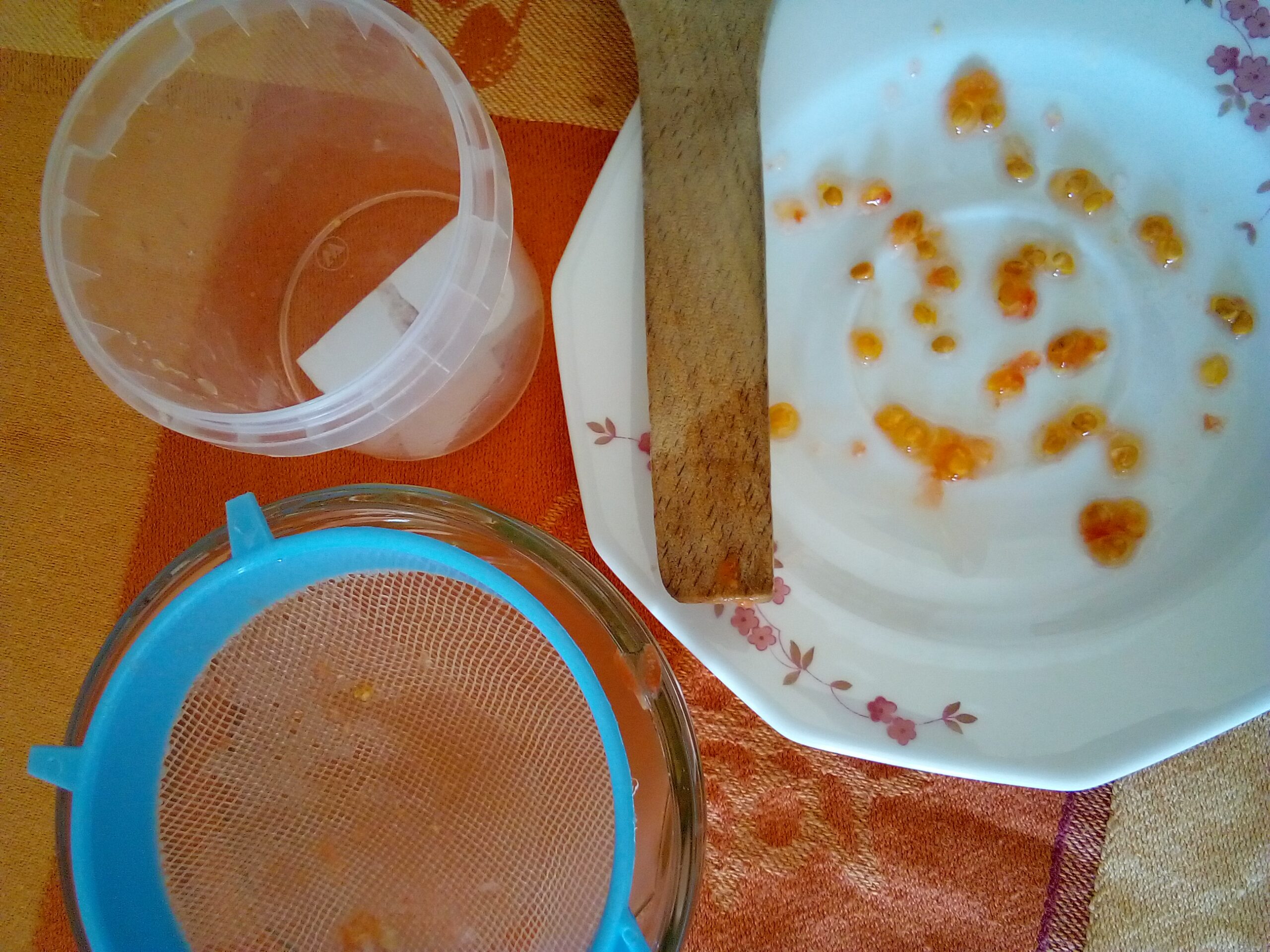 Heirloom tomato seeds drying on coffee filter