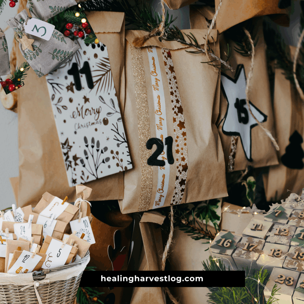 eco-friendly seed advent calendar 2025 with Demeter vegetable and flower seeds as sustainable Christmas gift idea