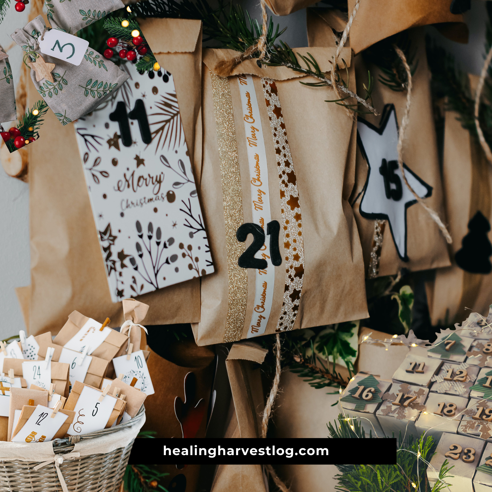 Seed Advent Calendar 2025 – Which One’s Worth It?