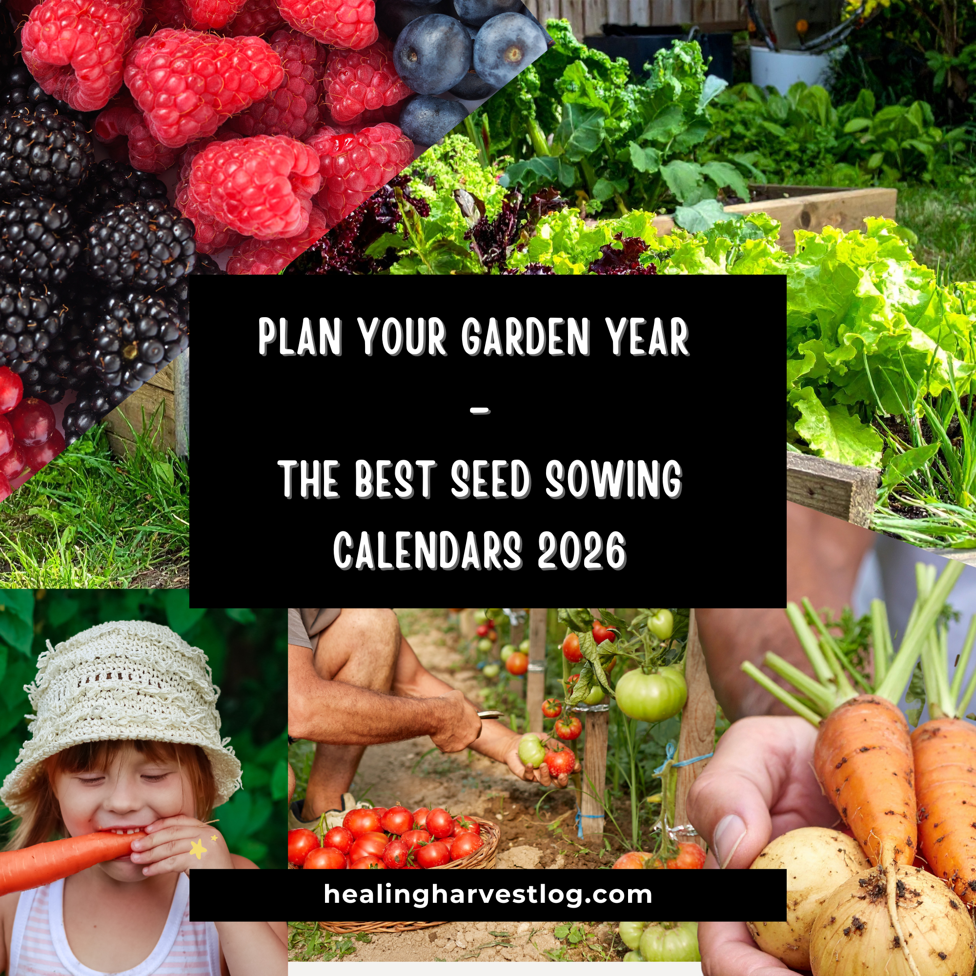 Seed Sowing Calendars 2026 – Which One Fits You Best?