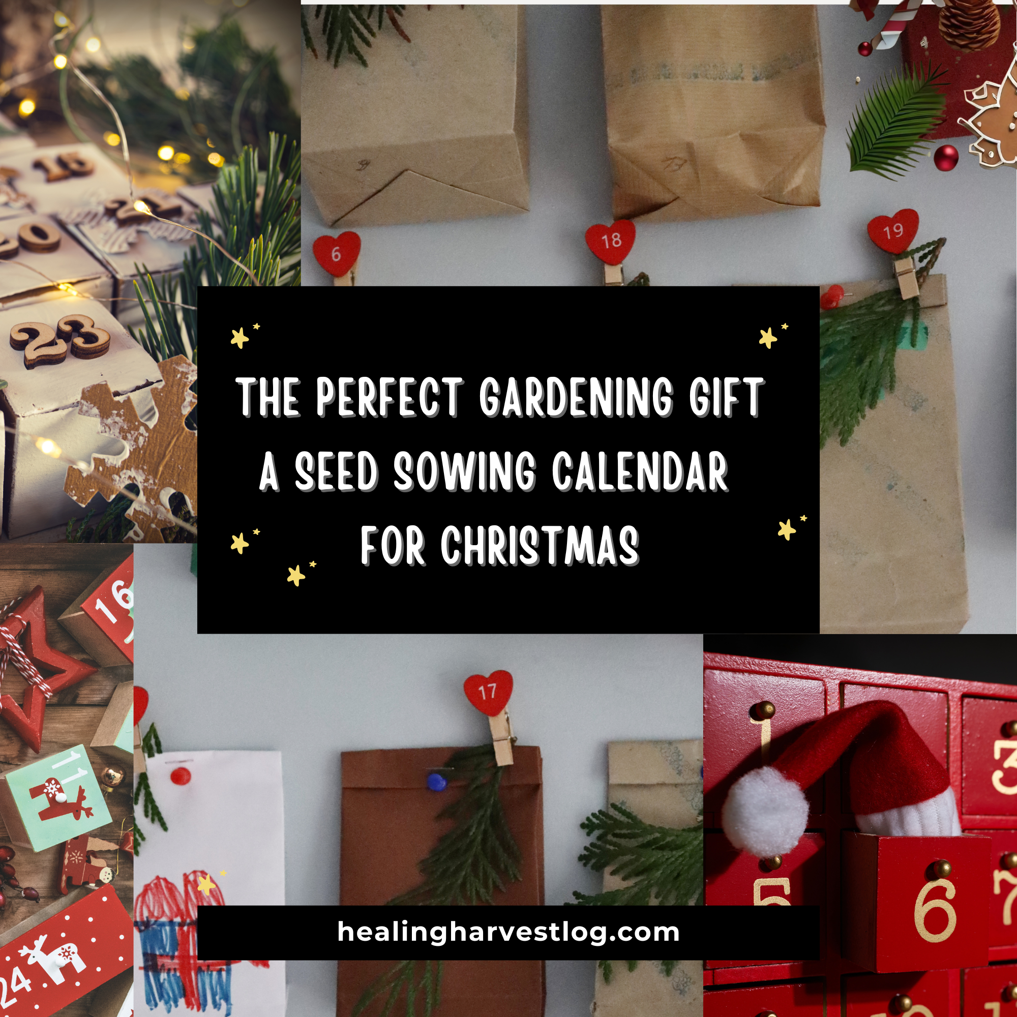 The Perfect Gardening Gift – A Seed Sowing Calendar for Christmas