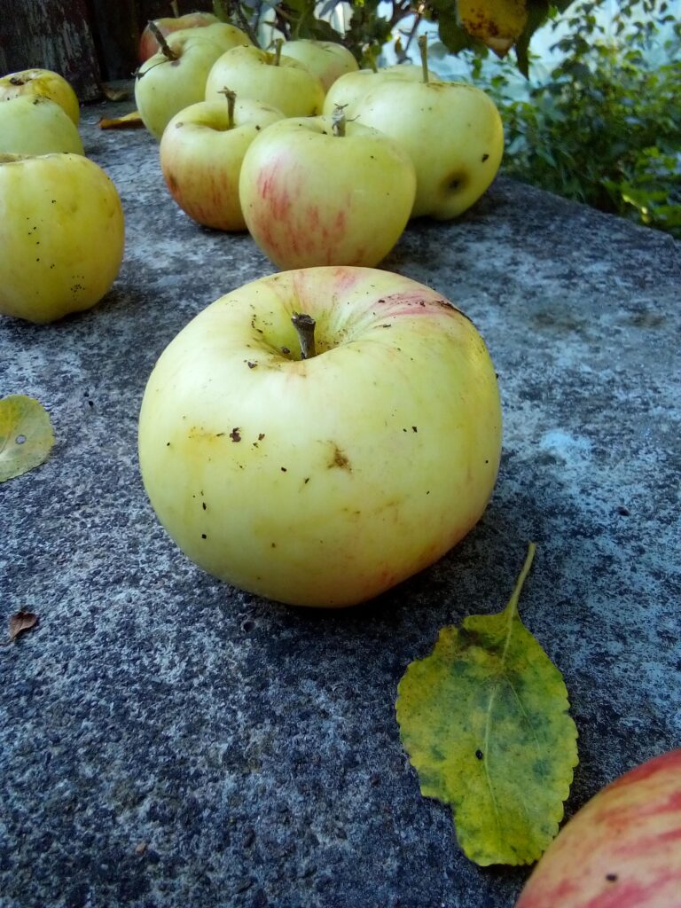 affordable plastic crates filled with apples, showing space-saving home storage