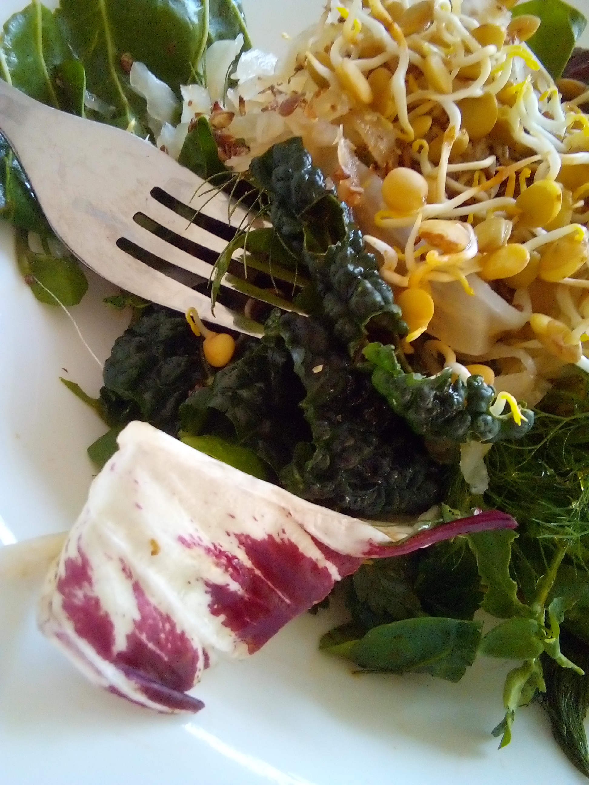 Massaged Lacinato kale leaves prepared for a soft, raw salad.