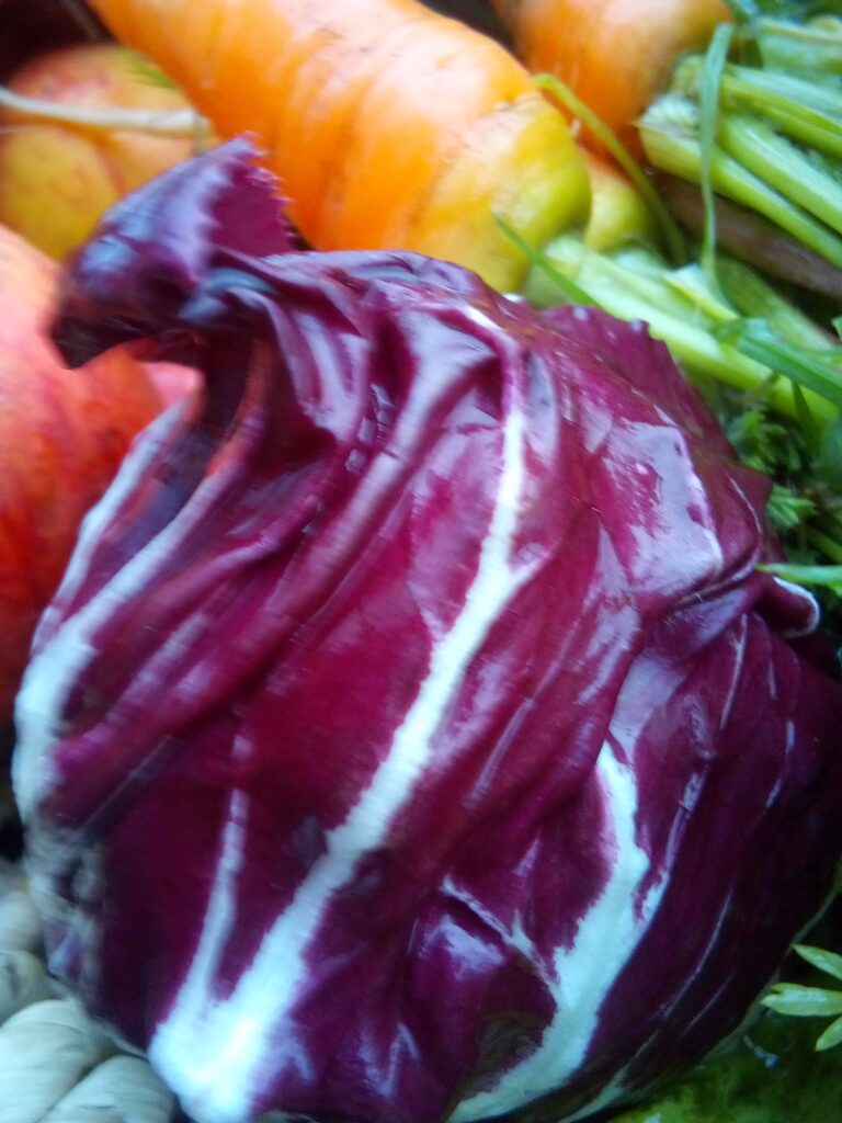 Hands brushing soil off freshly harvested root vegetables.