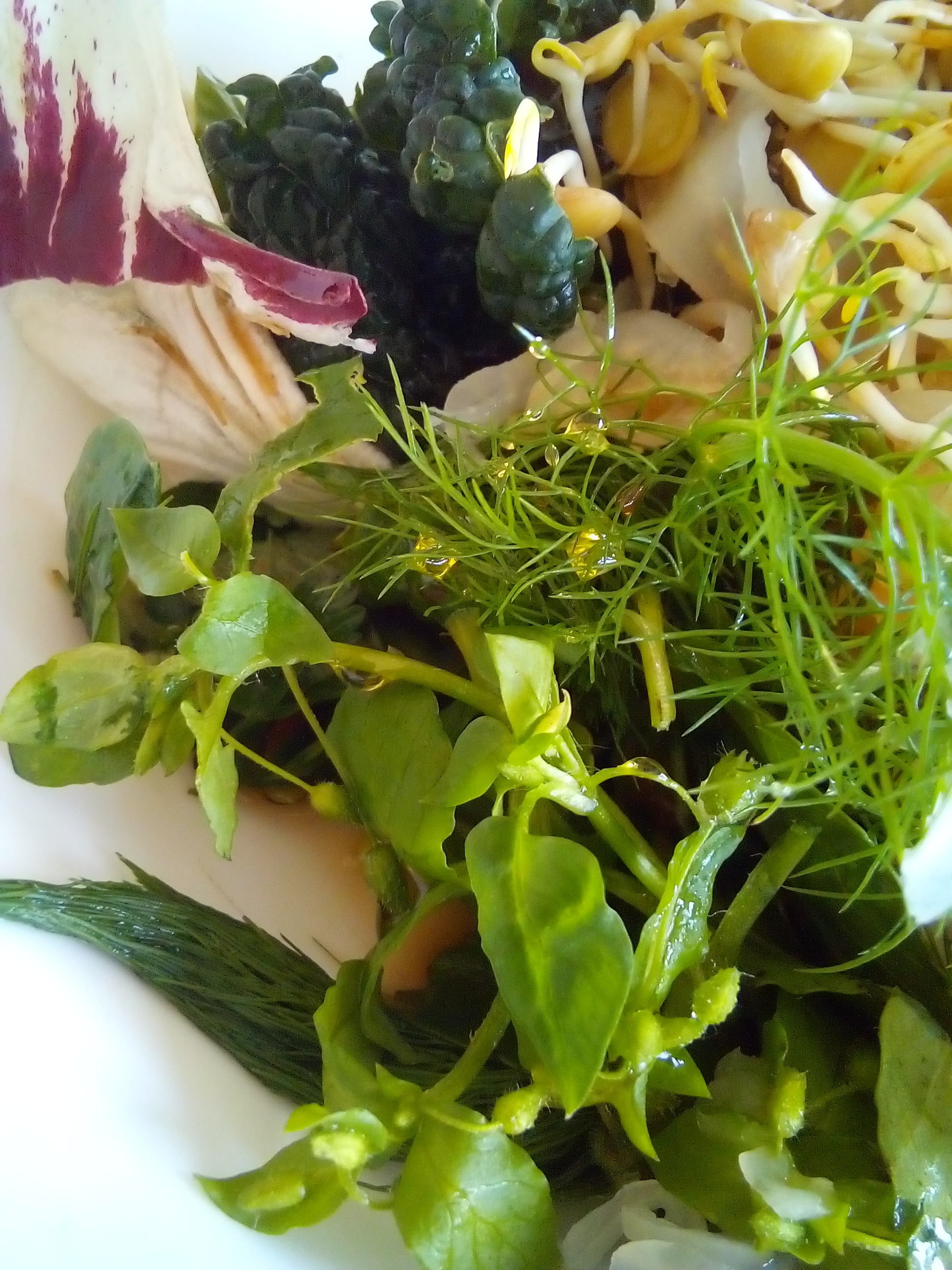 Raw Lacinato kale salad with tender leaves showing a no-bitter method.