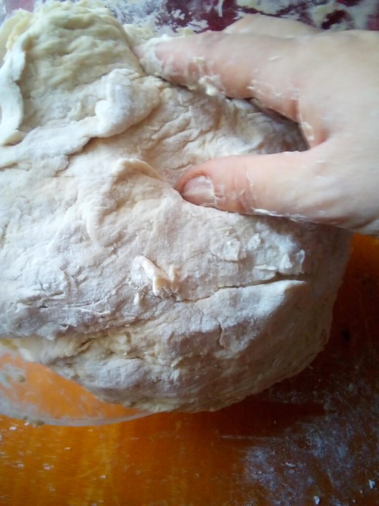 Pattypan squash cleaned and prepared for use in baking