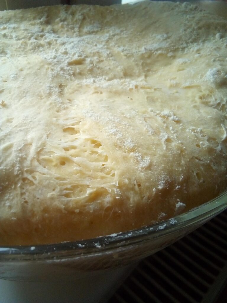 Yeast preferment ready for baking pumpkin yeast muffins