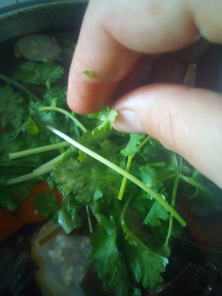 Beef soup cooked low and slow in a homestead kitchen using bones vegetables and long simmering for deep flavor.
