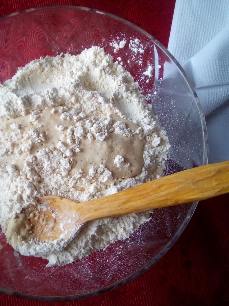 Freshly baked pumpkin yeast muffins cooling in a muffin pan with golden crust