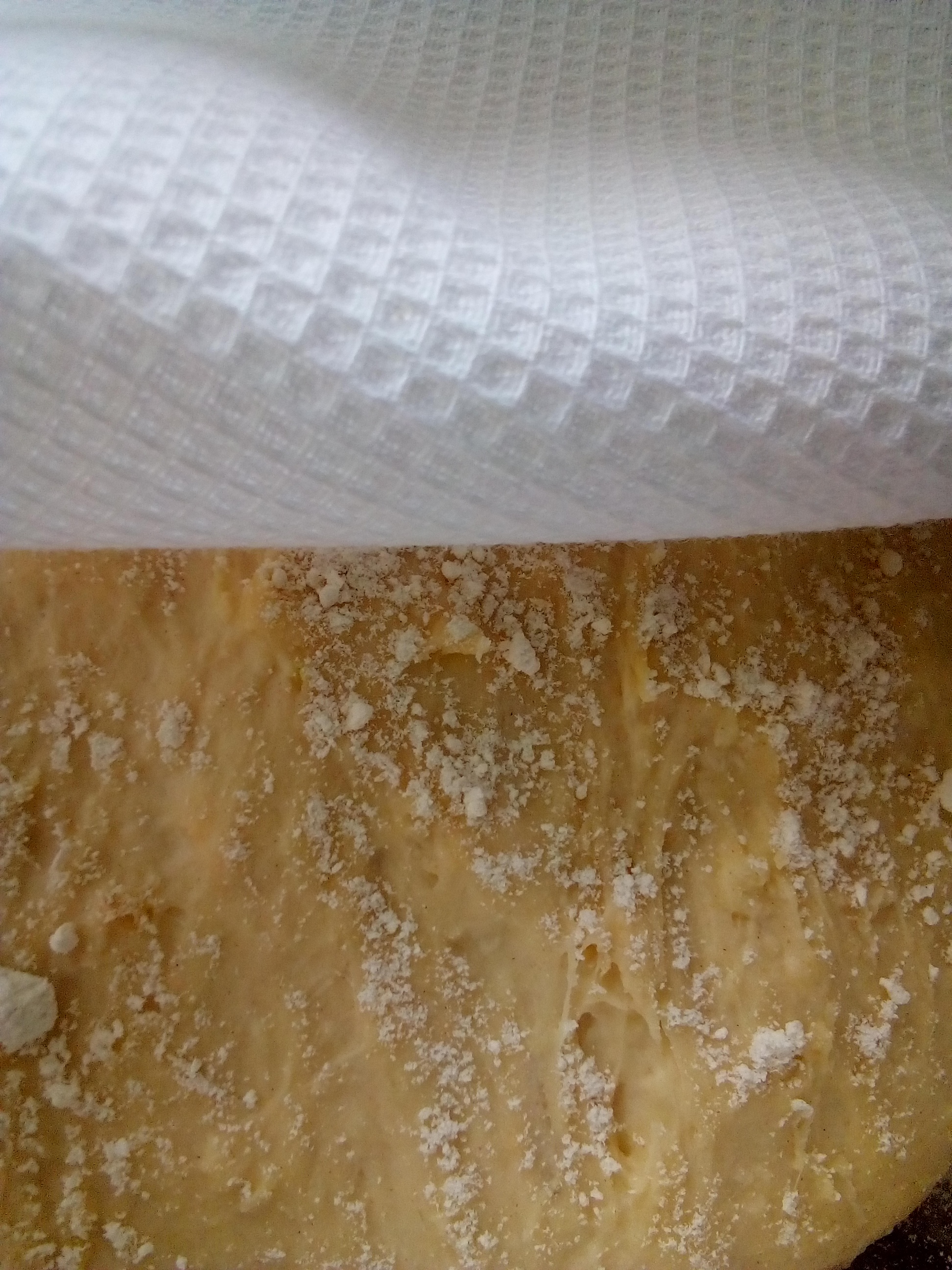 Finely grated pattypan squash prepared for yeast dough