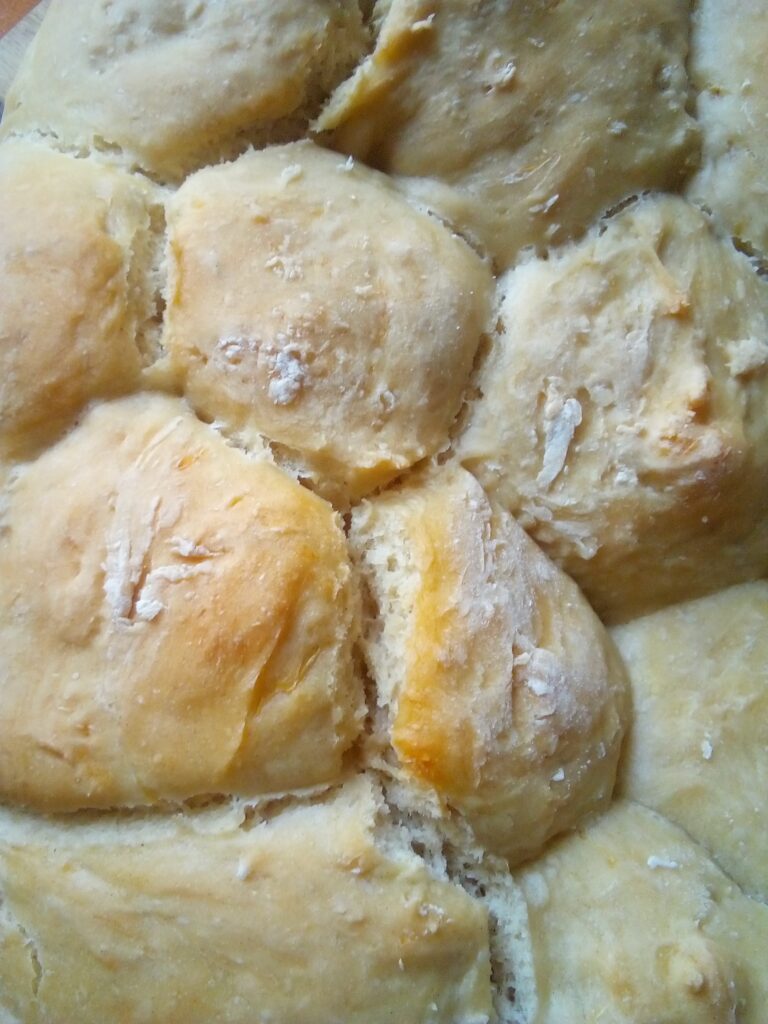 Soft yeast dough with grated squash resting in a bowl