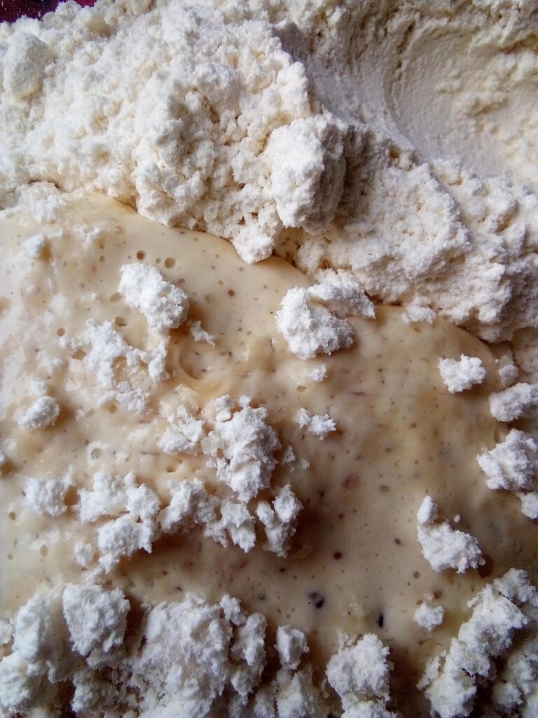 Soft interior texture of pumpkin yeast muffins baked with yeast