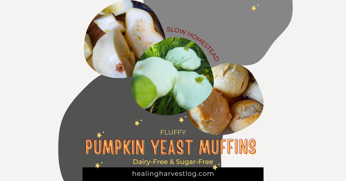 Fluffy Pumpkin Yeast Muffins with Pattypan Squash (Dairy-Free & Sugar-Free)