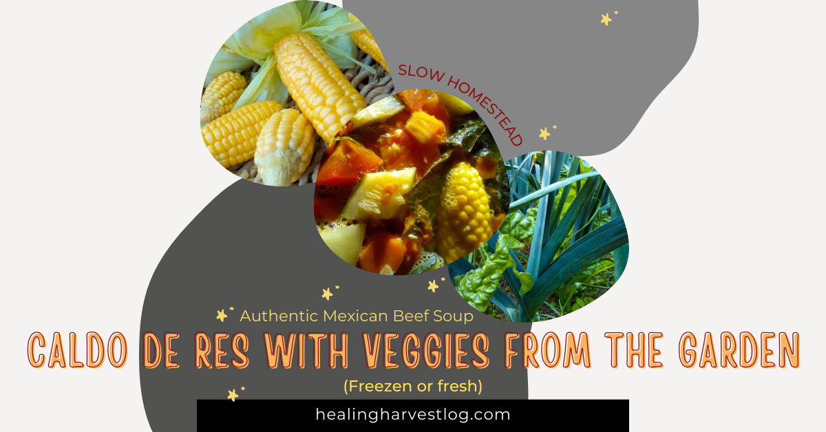 Caldo de Res with Garden Vegetables (Fresh or Frozen) — Authentic Mexican Beef Soup