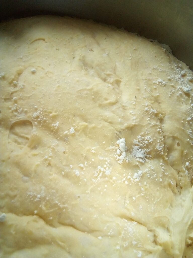 Bubbly yeast preferment showing active dry yeast before baking