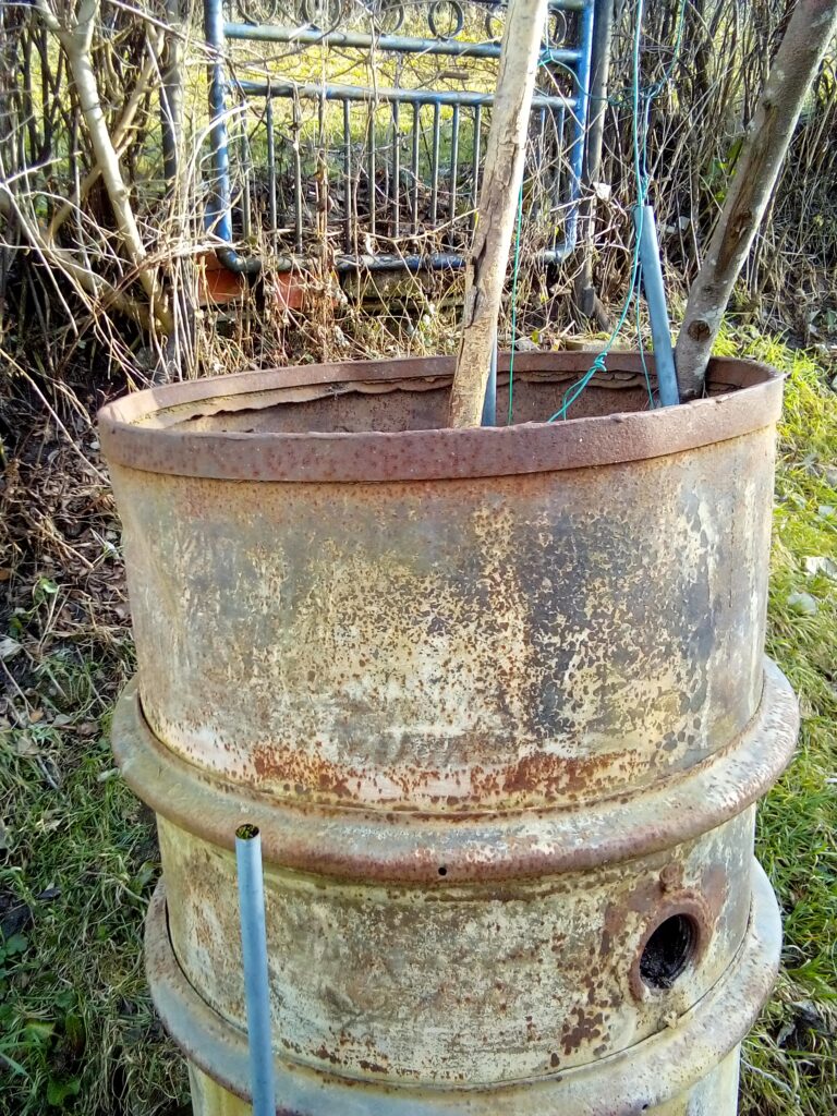garden cress seeds sown in a small container for small space gardening