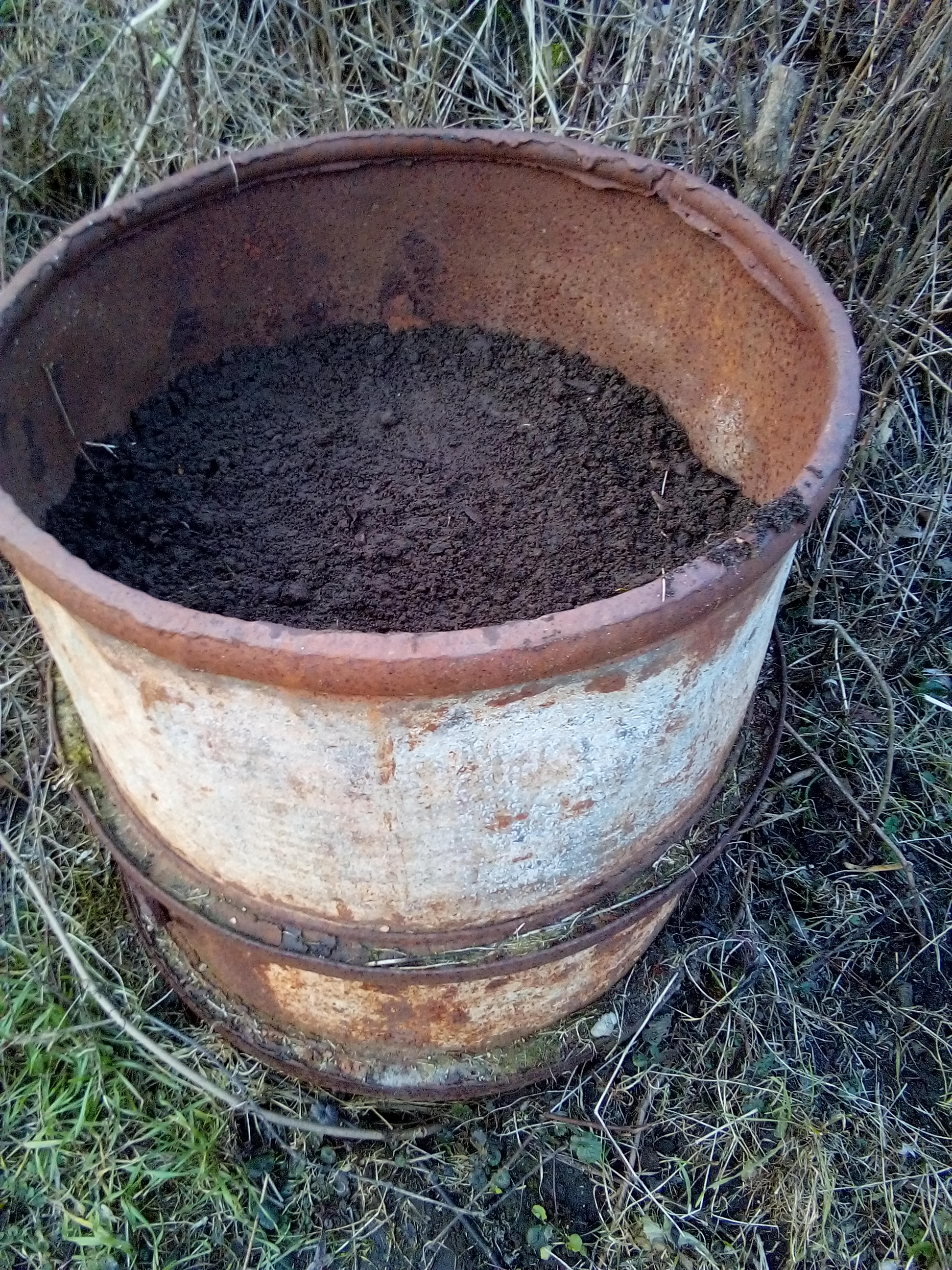 raised bed gardening for beginners: garden cress seeds being sown in a small urban garden space