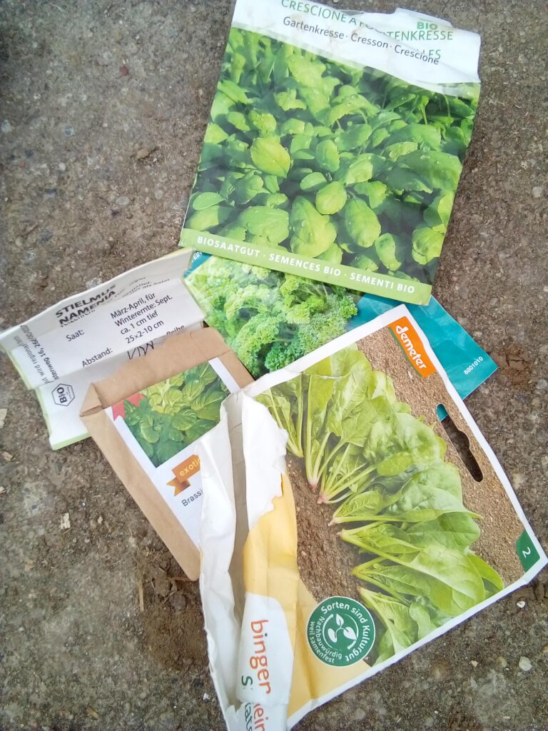 open-pollinated vegetable seeds ready for planting in the garden