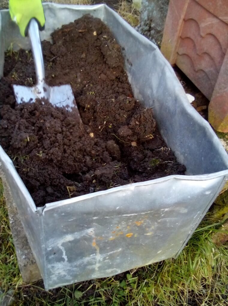 Tomato plants growing in raised beds with proper spacing, soil preparation and natural support.