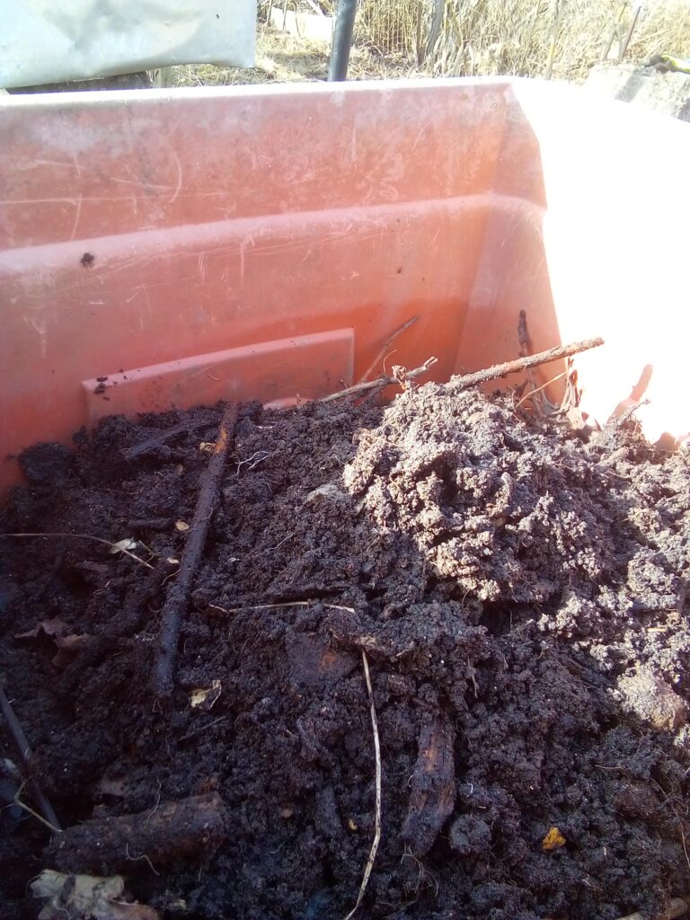 Vegetable seeds planted directly into fertile raised garden bed soil in spring