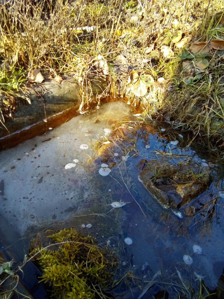 when to start gardening after winter starting compost pile from garden leftovers