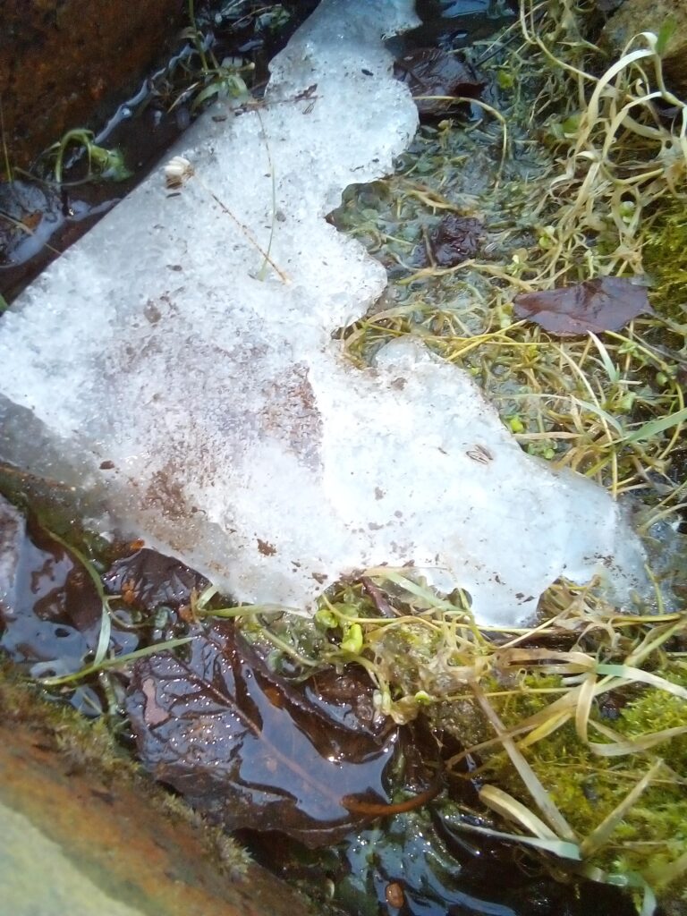 when to start gardening after winter water draining through spring garden soil