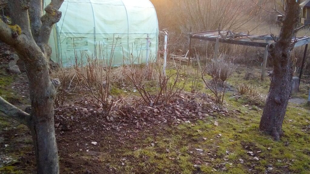 when to start gardening after winter wet garden soil forming lump in hand