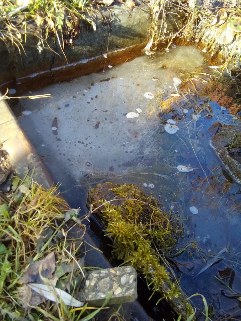 when to start gardening after winter preparing soil with compost for spring