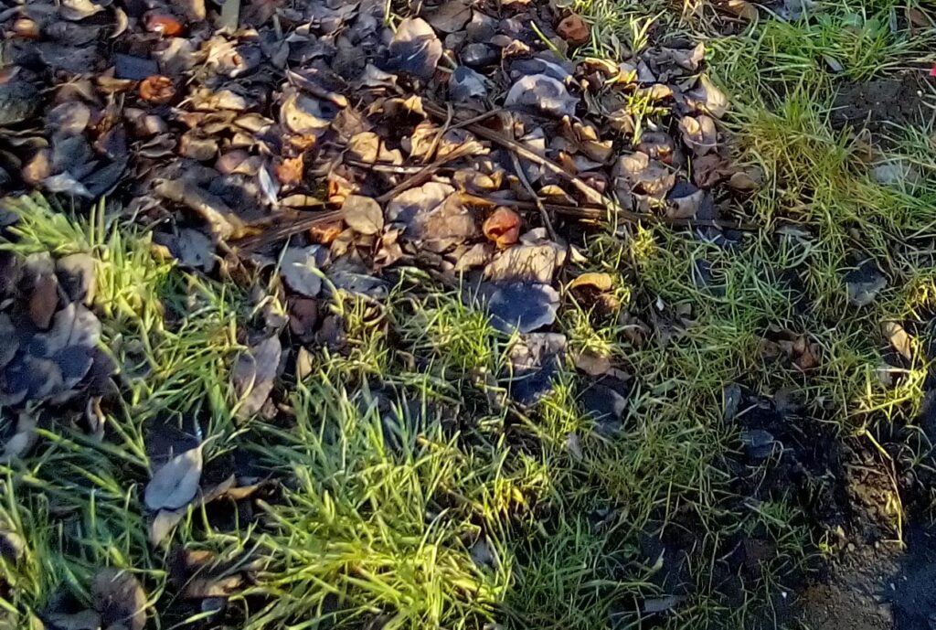 when to start gardening after winter checking if garden soil crumbles in hand