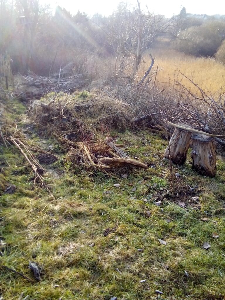 when to start gardening after winter soil crumbling instead of sticking together