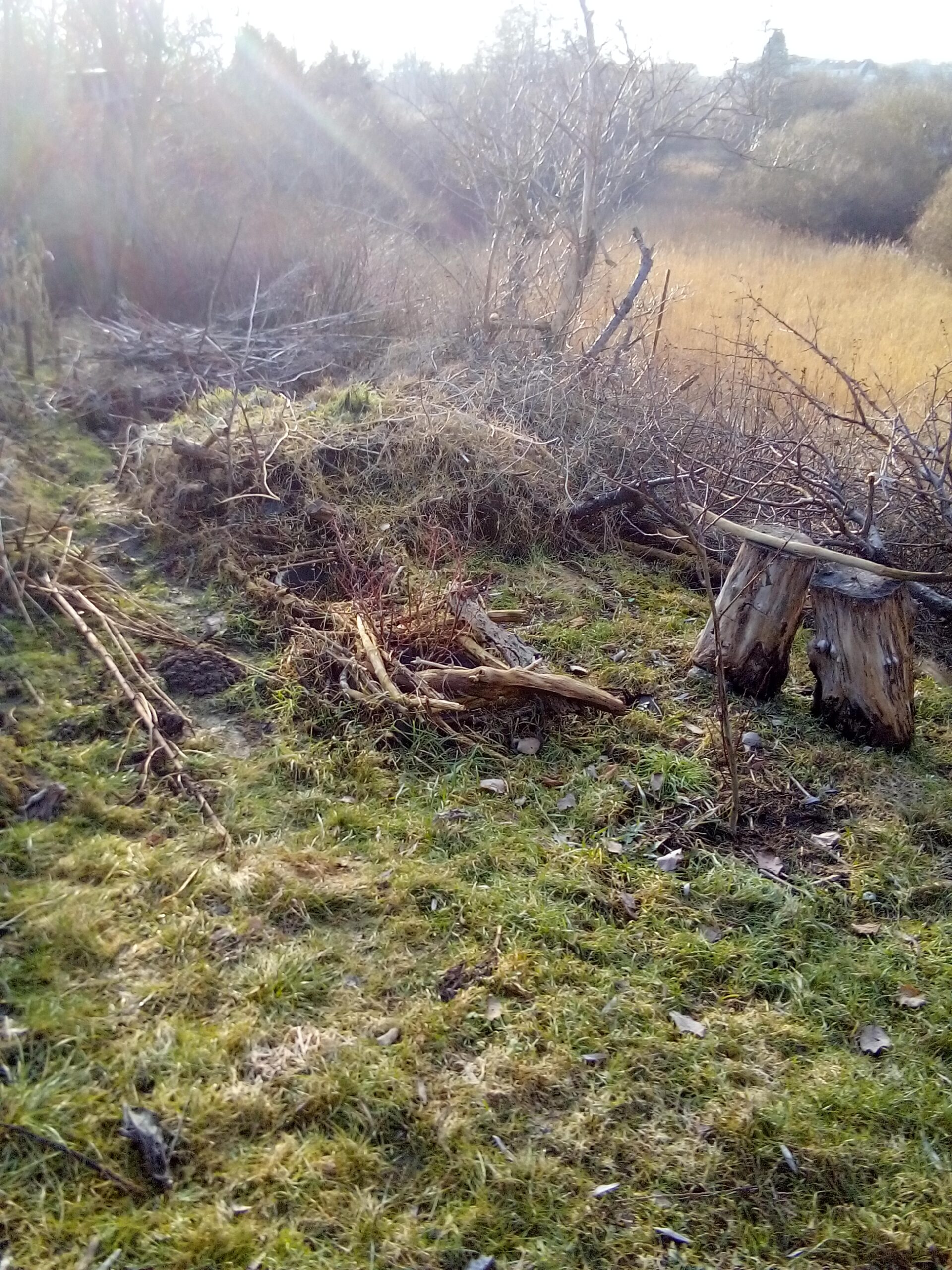 When to Start Gardening After Winter – 3 Signs Your Garden Is Ready to Grow Again