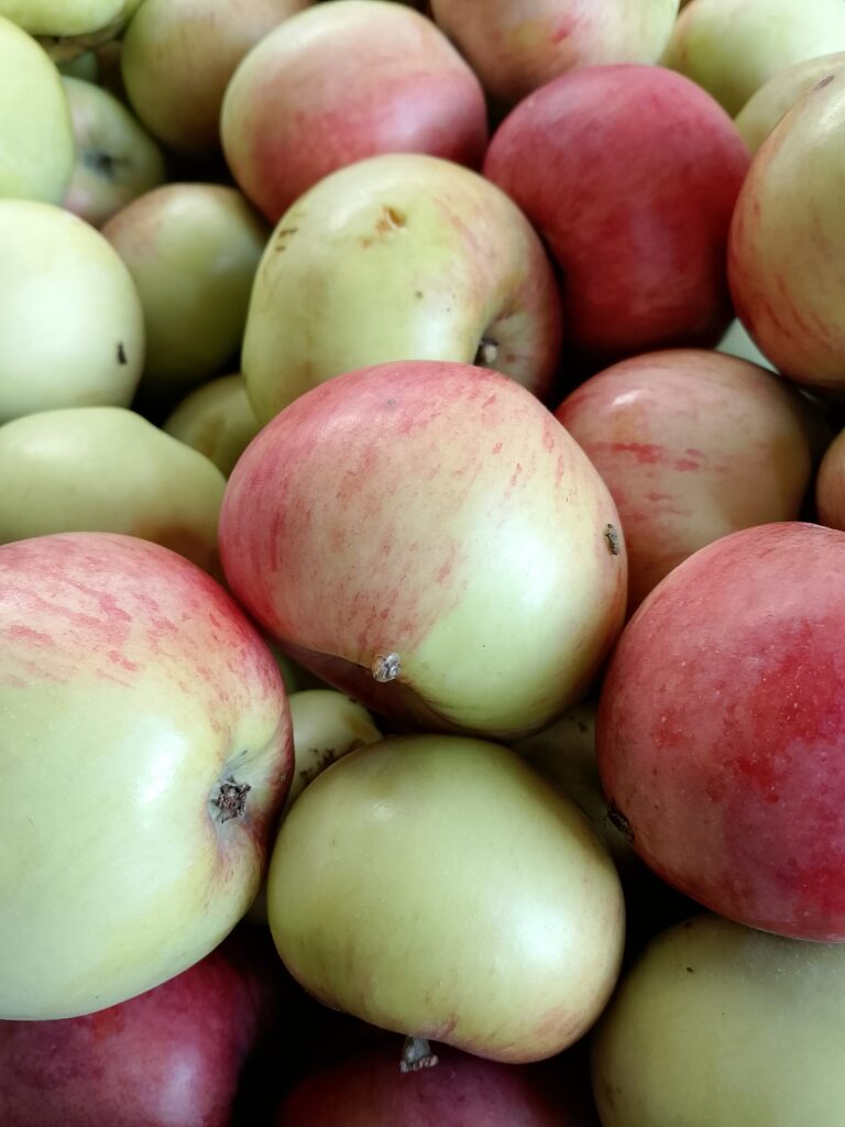 Cut apple showing peel, pulp and seeds where microbial communities can occur