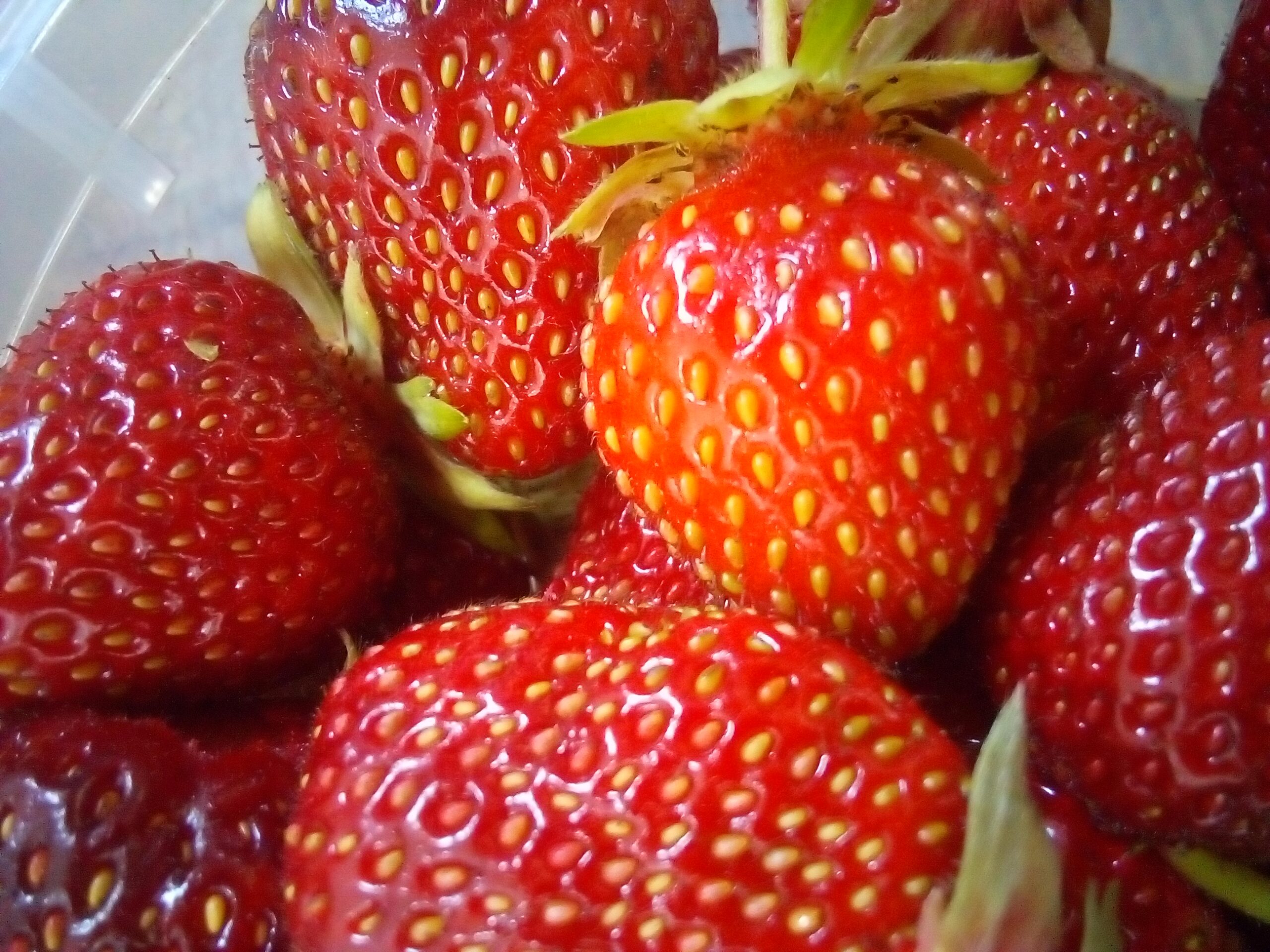 Washing Garden Fruit: What Can Really Be Sitting on Apples and Berries?