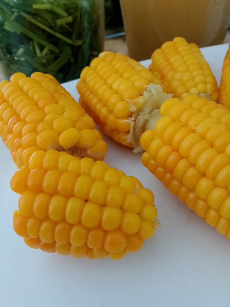 How to meal prep vegetables for the week by washing, trimming and cutting fresh vegetables ahead of time so most of the work is already done when it's time to eat.