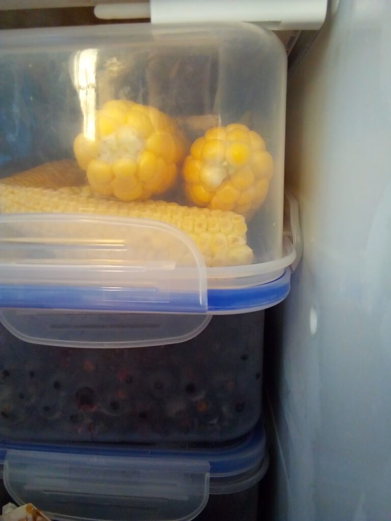 How to boil corn on the cob even in winter: I freeze our homegrown Bantam corn in smaller portions after harvest so I can take out only the amount we actually need.