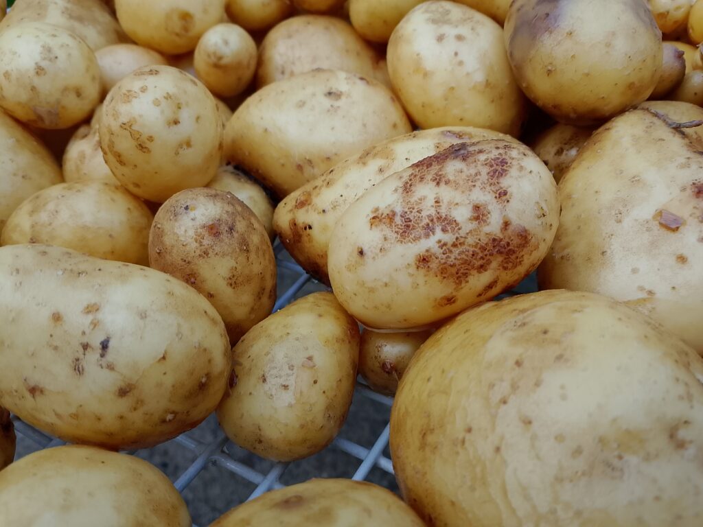 How to meal prep vegetables for the week: cooked potatoes prepared ahead of time make a simple and filling vegetable side that's ready to combine with other vegetables.